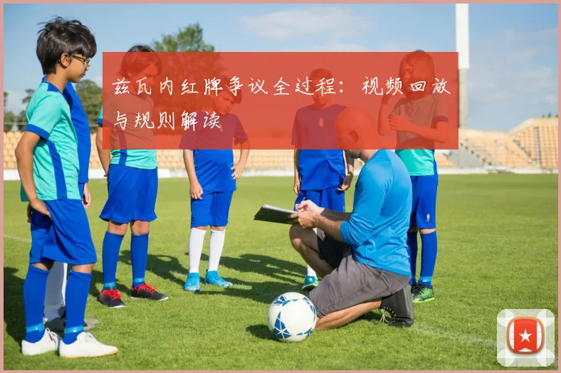 兹瓦内红牌争议全过程：视频回放与规则解读