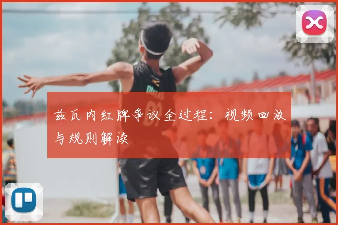 兹瓦内红牌争议全过程：视频回放与规则解读