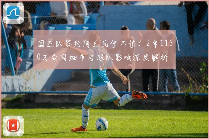 国王队签约阿丘瓦值不值？2年1150万合同细节与球队影响深度解析