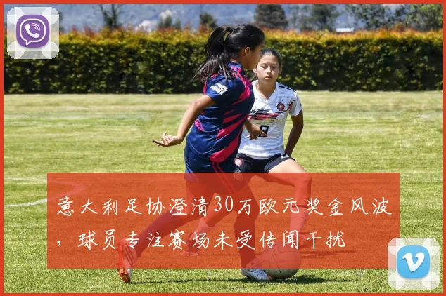 意大利足协澄清30万欧元奖金风波，球员专注赛场未受传闻干扰